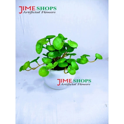 Picture of Artificial Cactus In Plastic Or Different Ceramic Pot For Any Kind Of Decoration, Jime Shops Flower - Home Decoration Item - Home Decoration Item - artificial flower (Cactus 10)