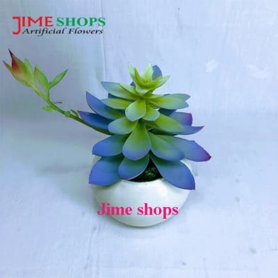 Picture of Artificial Cactus In Plastic Or Different Ceramic Pot For Any Kind Of Decoration, Jime Shops Flower - Home Decoration Item - Home Decoration Item - artificial flower (Cactus 4)