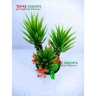 Picture of Artificial Cactus In Plastic Or Different Ceramic Pot For Any Kind Of Decoration, Jime Shops Flower - Home Decoration Item - Home Decoration Item - artificial flower (Cactus 5)