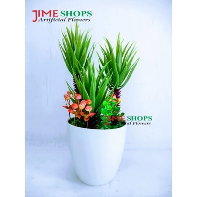 Picture of Artificial Cactus In Plastic Or Different Ceramic Pot For Any Kind Of Decoration, Jime Shops Flower - Home Decoration Item - Home Decoration Item - artificial flower (Cactus 5)