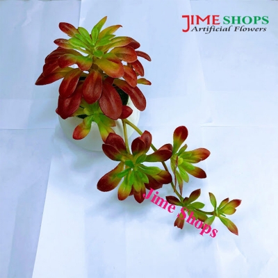 Picture of Artificial Cactus In Plastic Or Different Ceramic Pot For Any Kind Of Decoration, Jime Shops Flower - Home Decoration Item - Home Decoration Item - artificial flower (Cactus 3)