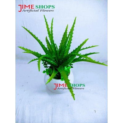 Picture of Artificial Cactus In Plastic Or Different Ceramic Pot For Any Kind Of Decoration, Jime Shops Flower - Home Decoration Item - Home Decoration Item - artificial flower (Alovera)