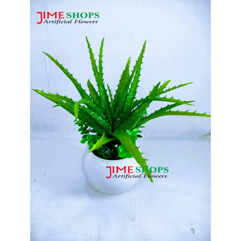 Picture of Artificial Cactus In Plastic Or Different Ceramic Pot For Any Kind Of Decoration, Jime Shops Flower - Home Decoration Item - Home Decoration Item - artificial flower (Alovera)
