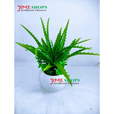 Picture of Artificial Cactus In Plastic Or Different Ceramic Pot For Any Kind Of Decoration, Jime Shops Flower - Home Decoration Item - Home Decoration Item - artificial flower (Alovera)