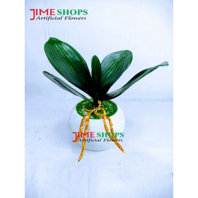 Picture of Artificial Cactus In Plastic Or Different Ceramic Pot For Any Kind Of Decoration, Jime Shops Flower - Home Decoration Item - Home Decoration Item - artificial flower (5 leaves)