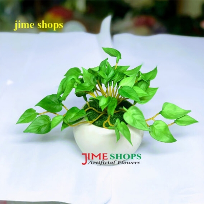 Picture of Artificial Cactus In Plastic Or Different Ceramic Pot For Any Kind Of Decoration, Jime Shops Flower - Home Decoration Item - Home Decoration Item - artificial flower (Cactus leaves)