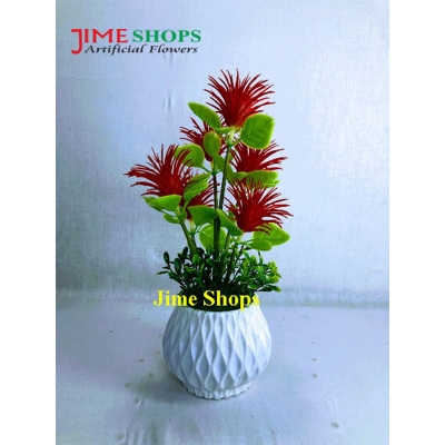 Picture of Artificial Cactus In Plastic Or Different Ceramic Pot For Any Kind Of Decoration, Jime Shops Flower - Home Decoration Item - Home Decoration Item - artificial flower (Cactus 7)