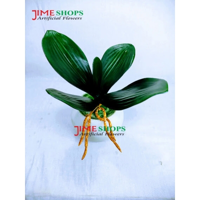 Picture of Artificial Grass Plant In Plastic pot - Home Decoration Item - ghash tob (Leaves)