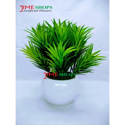 Picture of Artificial Grass Plant In Ceramic or Plastic Tob 8inc/20cm For any Kind Of Decoration - Home Decoration Item - Home Decoration Item (In Ceramic Tob)