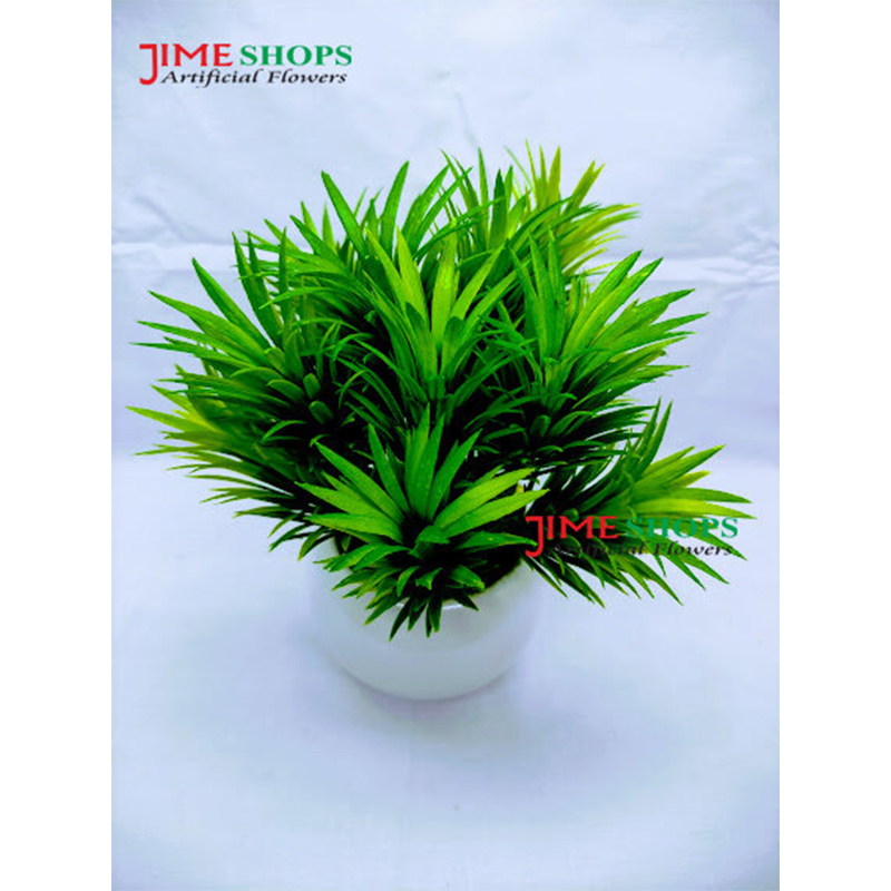 Picture of Artificial Grass Plant In Ceramic or Plastic Tob 8inc/20cm For any Kind Of Decoration - Home Decoration Item - Home Decoration Item (In Ceramic Tob)