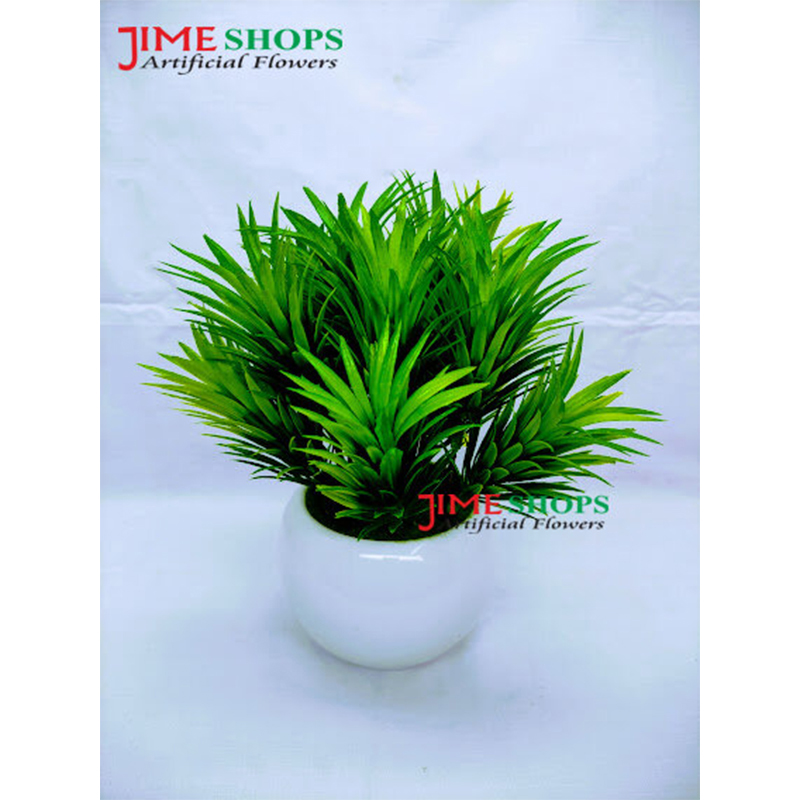 Picture of Artificial Grass Plant In Ceramic or Plastic Tob 8inc/20cm For any Kind Of Decoration - Home Decoration Item - Home Decoration Item (In Ceramic Tob)