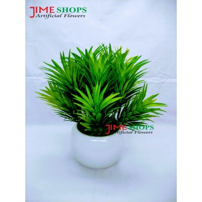 Picture of Artificial Grass Plant In Ceramic or Plastic Tob 8inc/20cm For any Kind Of Decoration - Home Decoration Item - Home Decoration Item (In Ceramic Tob)