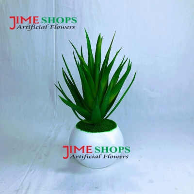 Picture of Artificial Rubber Cactus Plant In Small Plastic Tob 6 inc For Decoration (S.Cactus T5)