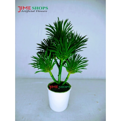 Picture of Artificial Rubber Cactus Plant In Small Plastic Tob 6 inc For Decoration (S.Cactus T6)