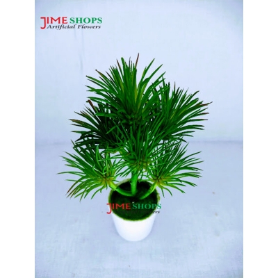 Picture of Artificial Rubber Cactus Plant In Small Plastic Tob 6 inc For Decoration (S.Cactus T6)