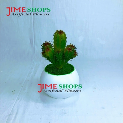 Picture of Artificial Rubber Cactus Plant In Small Plastic Tob 6 inc For Decoration (S.Cactus T4)