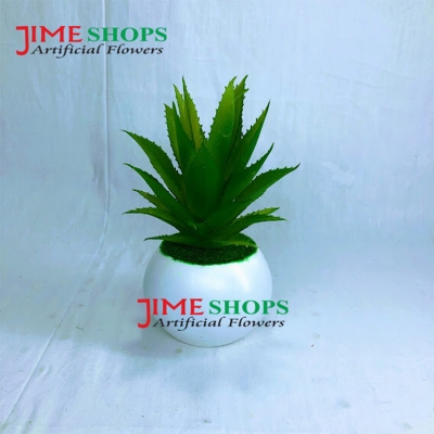 Picture of Artificial Rubber Cactus Plant In Small Plastic Tob 6 inc For Decoration (S.Cactus T2)