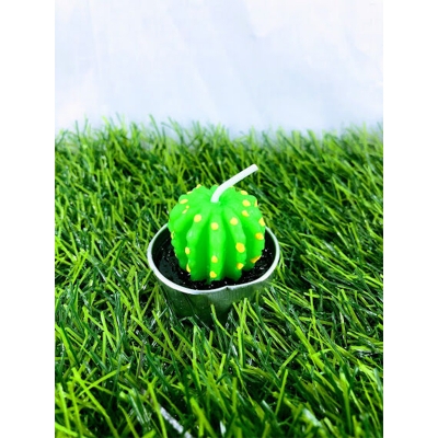 Picture of Cactus Tealight Candles Set, Handmade Delicate Succulent Cactus Artificial Succulents Tealight Candles Perfect for Birthday Party Valentine's Day Wedding Spa Home Decor (Cac C 1)