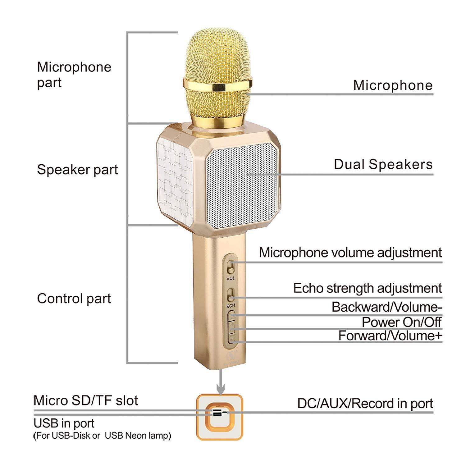 Picture of Professional Wireless Handheld Speaker, Recorder & Microphone Karaoke (Gold)