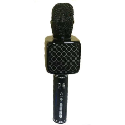 Picture of Professional Wireless Handheld Speaker, Recorder & Microphone Karaoke (Black)