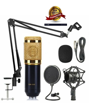 Picture of [Big Promotion] BM-800 Professional Condenser Microphone-K Song, Live Streaming Microphone Set Record Studio Equipment Mic Kit with Adjustable Arm Stand Pop Filter Foam Cap kit (Gold)