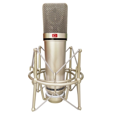 Picture of Professional Studio Record Condenser Microphone U87 With Shock Mount, XLR to 3.5mm Audio cable, Mic Foam For Mobile Computer laptop Gaming Podcast Silver (Silver)