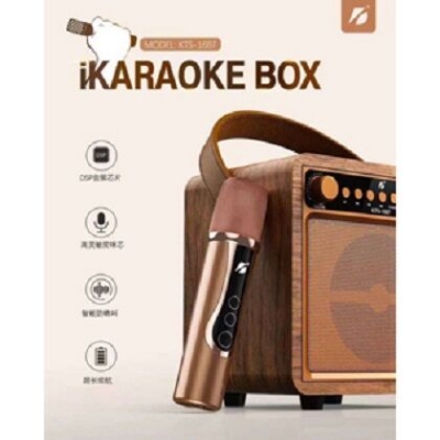 Picture of KTS-1687 Vocal Singing Home KTV Party Rechargeable Wireless Microphone Wooden FM Radio Mic Belt Handle Portable Karaoke Box BT Speaker (Gold)