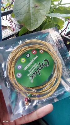 Picture of Orphe TX620 Acoustic Guitar Strings Gold (Gold)