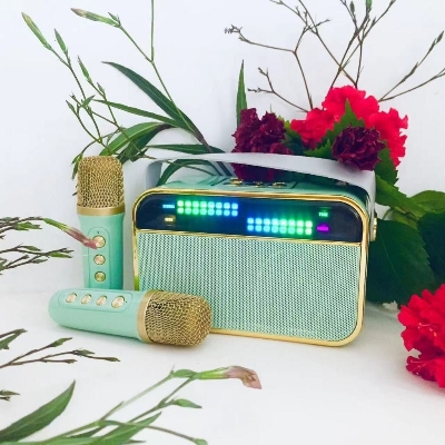 Picture of Karaoke Bluetooth Speaker YS-132 / 2 Microphone Wireless  Colorful Light Loudspeaker Portable Player, Stage/DJ, Karaoke (Multicolor)