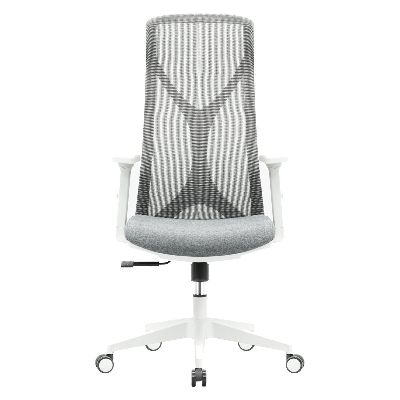 Picture of REGAL Ergonomic Swivel Chair-B62 (Grey) CES-B62-7-1-44