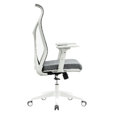Picture of REGAL Ergonomic Swivel Chair-B62 (Grey) CES-B62-7-1-44