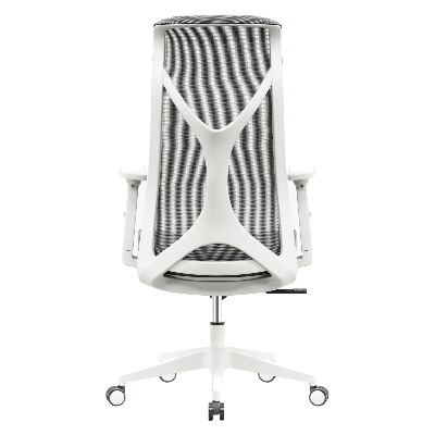 Picture of REGAL Ergonomic Swivel Chair-B62 (Grey) CES-B62-7-1-44