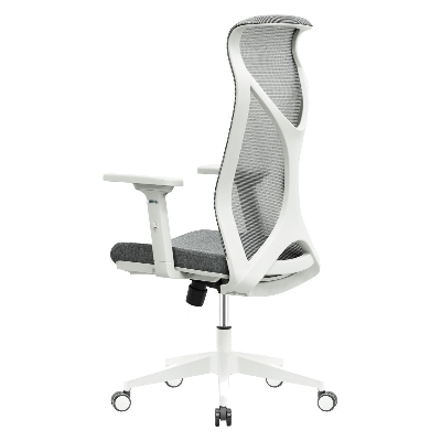 Picture of REGAL Ergonomic Swivel Chair-B62 (Grey) CES-B62-7-1-44