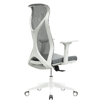 Picture of REGAL Ergonomic Swivel Chair-B62 (Grey) CES-B62-7-1-44