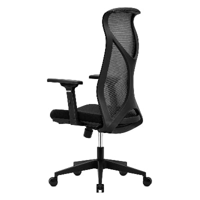Picture of REGAL Ergonomic Swivel Chair-B62 (Black) CES-B62-7-1-66