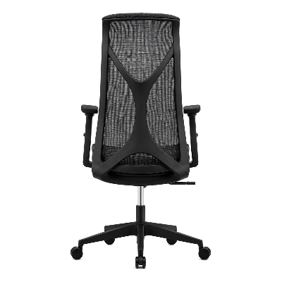 Picture of REGAL Ergonomic Swivel Chair-B62 (Black) CES-B62-7-1-66
