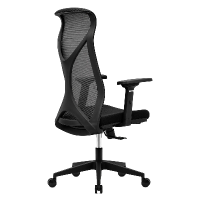 Picture of REGAL Ergonomic Swivel Chair-B62 (Black) CES-B62-7-1-66