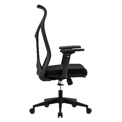 Picture of REGAL Ergonomic Swivel Chair-B62 (Black) CES-B62-7-1-66