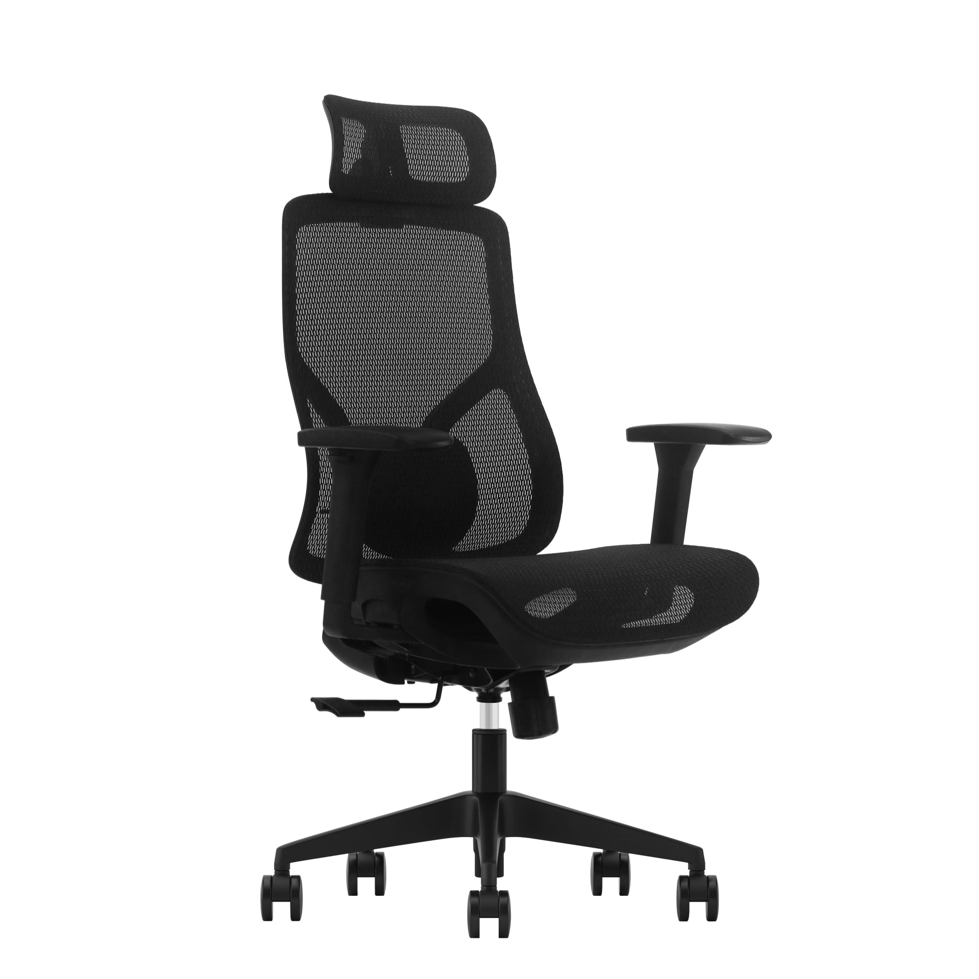 Picture of REGAL Ergonomic Swivel Chair-S6H (Black) CES-S6H-7-1-66