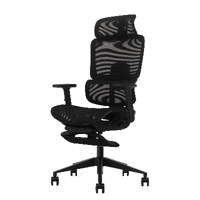 Picture of REGAL Ergonomic Swivel Chair-AT8 (Black) CES-AT8-7-1-66