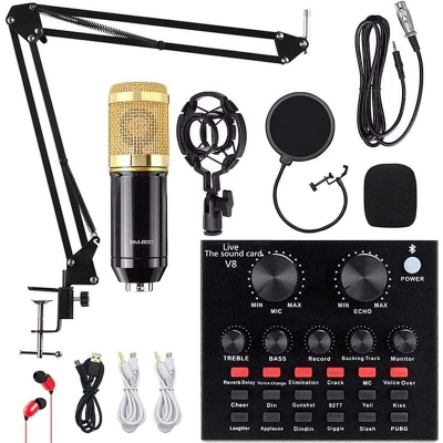 Picture of 9in1 Bm 800 Condenser Microphone Kit Live Sound Card V8 Professional Mic Set for Broadcast Singing K Songs - Gold