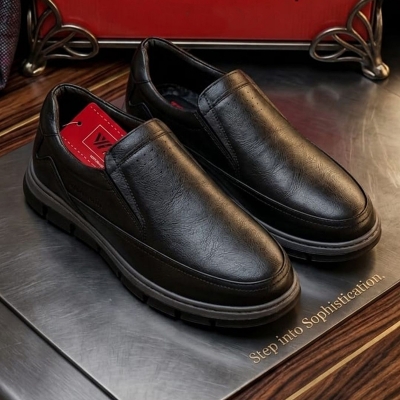 Picture of WALFLICK Casual Loafer