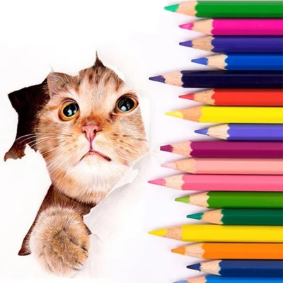 Picture of Faber-Castell Colour Pencils - 48 Colors