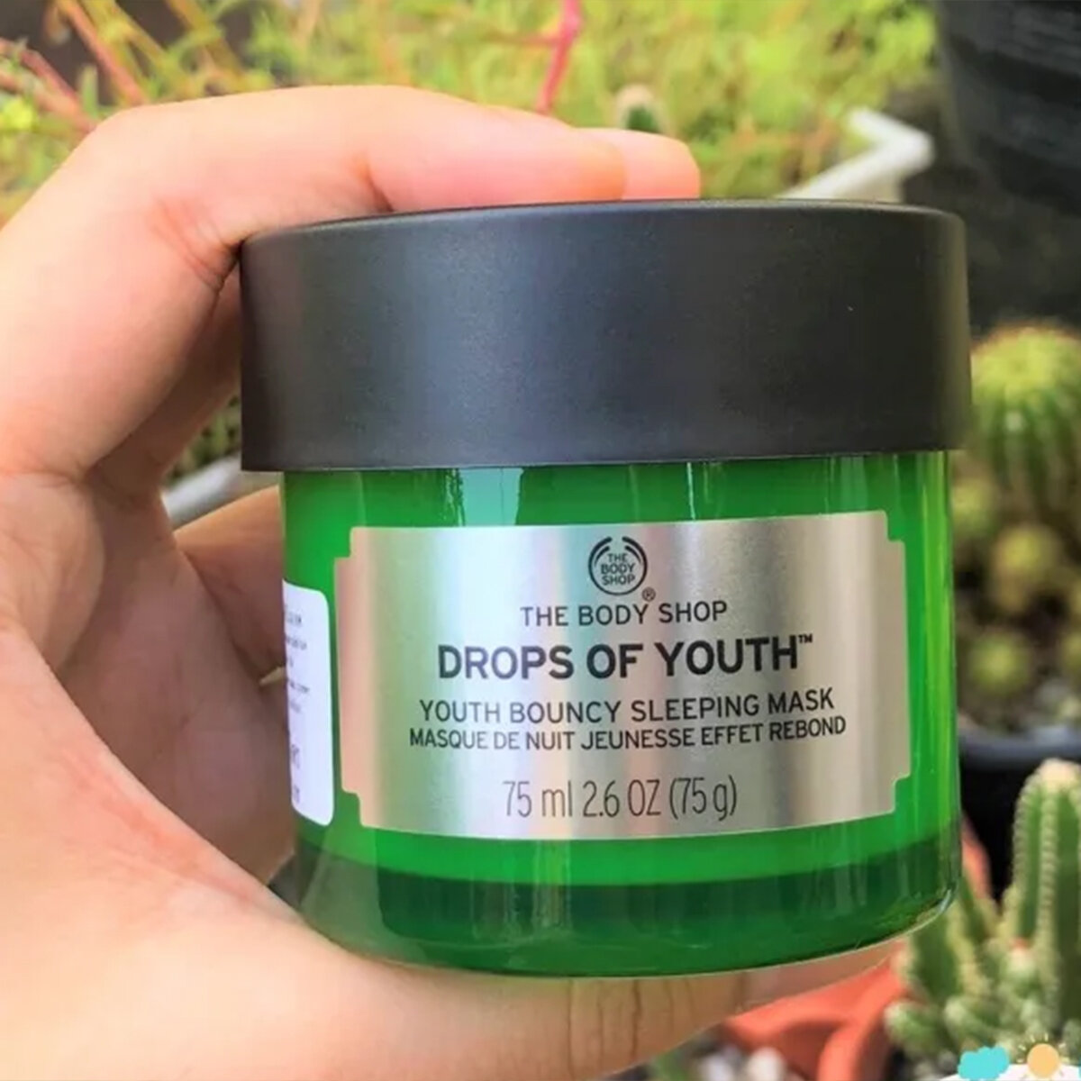 Picture of The Body Shop Drops of Youth Bouncy Sleeping Mask - 75ml