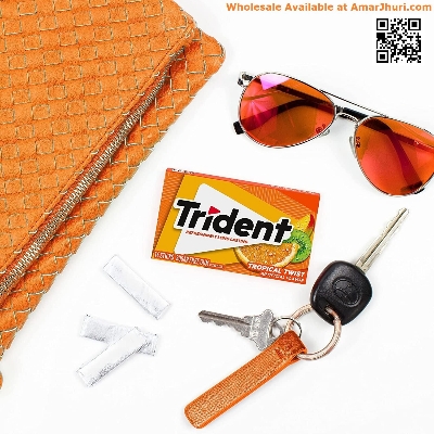 Picture of Trident Spearmint Flavor Sugar Freegmum X 14 Softgmum