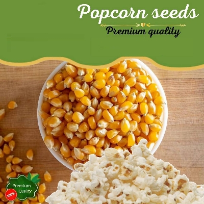 Picture of Popcorn Seeds 500g