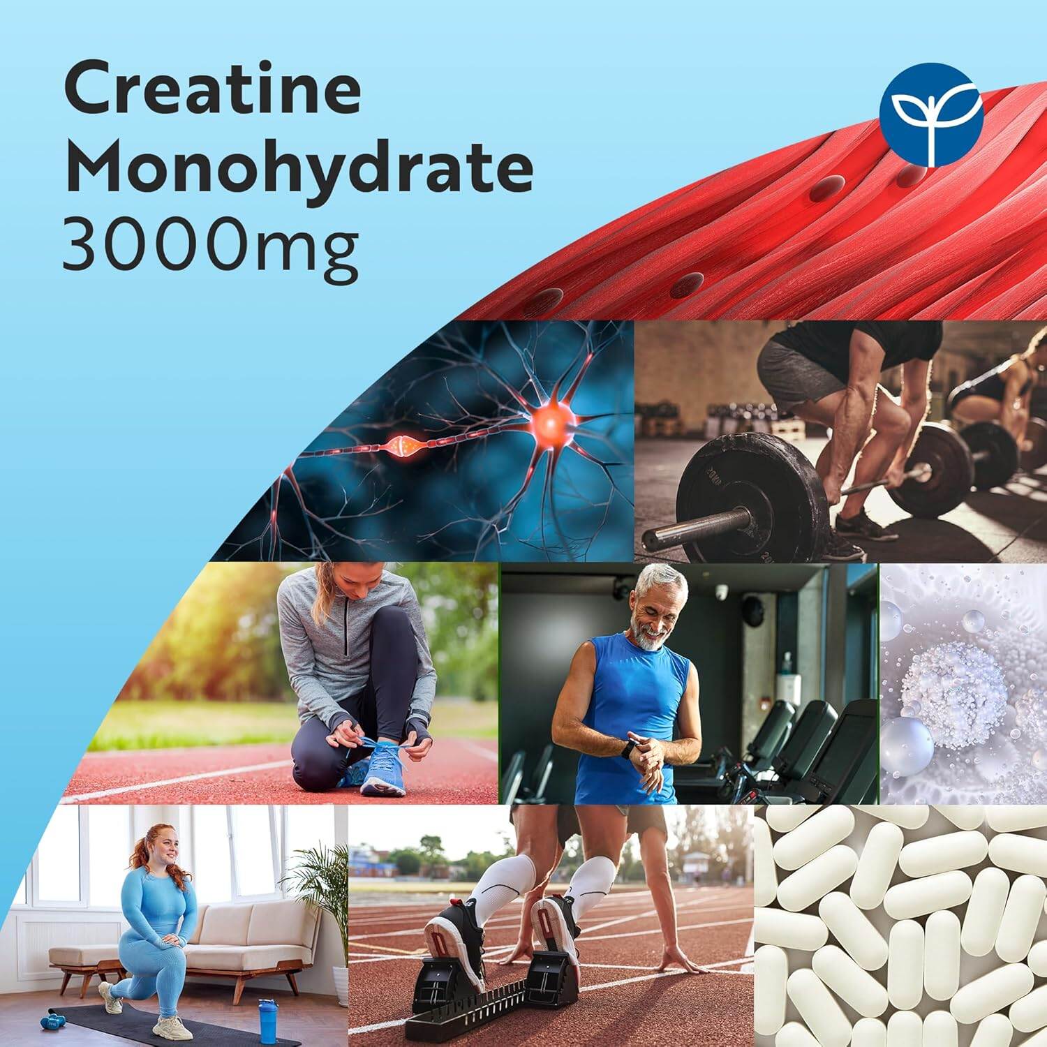Picture of Nutravita Creatine Monohydrate 3000mg - 300 Vegan Tablets