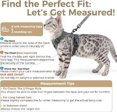 Picture of Adjustable Cat Harness and Leash Set, High-Quality Pet Walking Harness for Cats, Multiple Colors