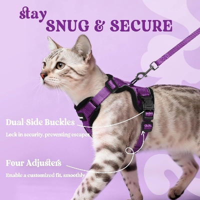 Picture of Adjustable Cat Harness and Leash Set, High-Quality Pet Walking Harness for Cats, Multiple Colors