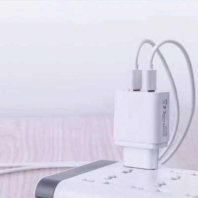 Picture of Sannai Fast Charger SA-40 Dual Port 12W USB Charger with MicroUSB Cable for Universal Devices -White